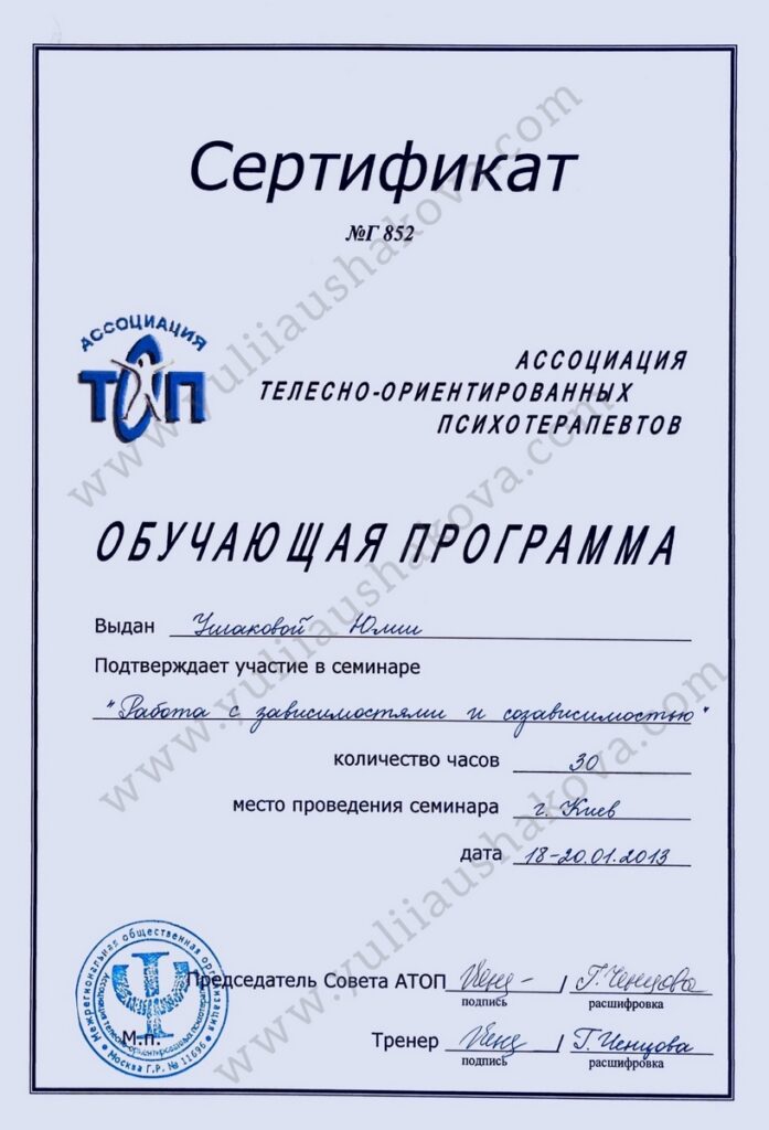 13 zavisimosty i sozavisimost